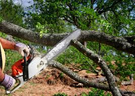 Best Aeration Services  in North Plainfield, NJ